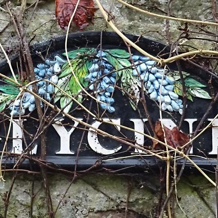 Juvigny-Val-d'AndaineLe Glycine A Manoir Sainte Cecileアパートメント エクステリア 写真