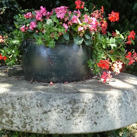 Juvigny-Val-d'AndaineLe Glycine A Manoir Sainte Cecileアパートメント エクステリア 写真
