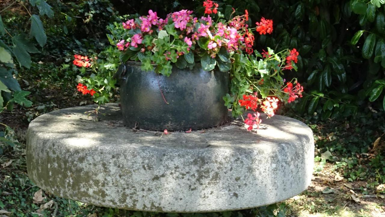 Juvigny-Val-d'AndaineLe Glycine A Manoir Sainte Cecileアパートメント エクステリア 写真